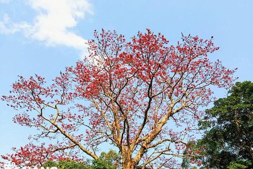 Du lịch nông thôn, hai điểm đến...