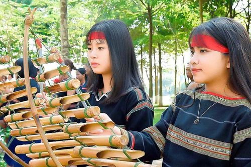 Thanh âm của suối rừng