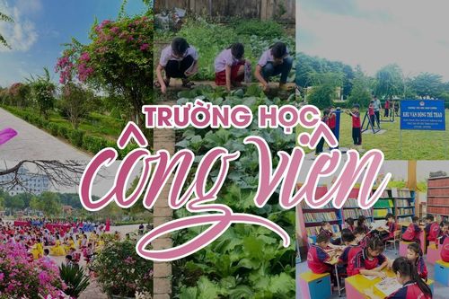 'Trường học công viên'