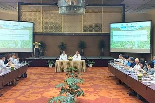 Sử dụng viên nén chuyển đổi nhiên liệu nồi hơi hướng tới nền sản xuất phát thải thấp