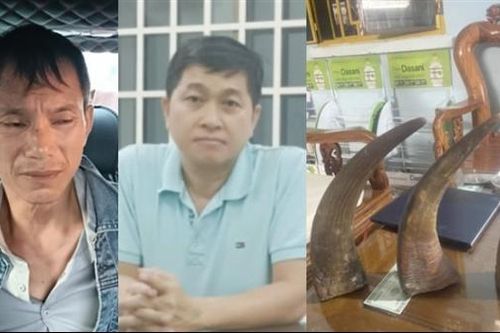 Bắt nhóm lừa đảo bán thiên thạch và sừng tê giác giả