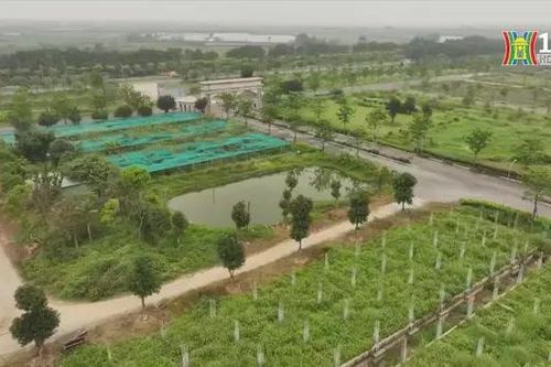CEO Homes Hana Garden City chậm tiến độ 16 năm