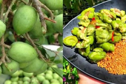 Loại quả từng mọc dại bỗng dưng thành đặc sản, chị em ưa chuộng dù giá tới 170.000 đồng/kg