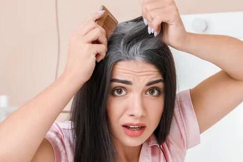 Điều trị tóc bạc sớm theo phương pháp Đông y