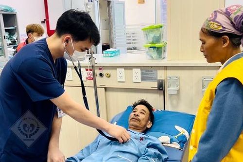 Hái lá rừng chữa táo bón, nào ngờ phải nhập viện trong tình trạng nguy kịch