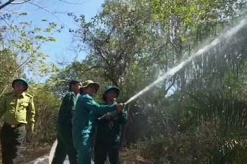 Nâng cảnh báo cháy rừng cấp cực kỳ nguy hiểm tại Vườn chim Bạc Liêu