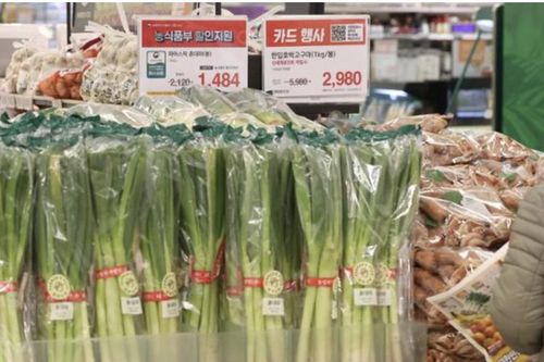 Cử tri Hàn Quốc không được mang tỏi tây đến điểm bỏ phiếu