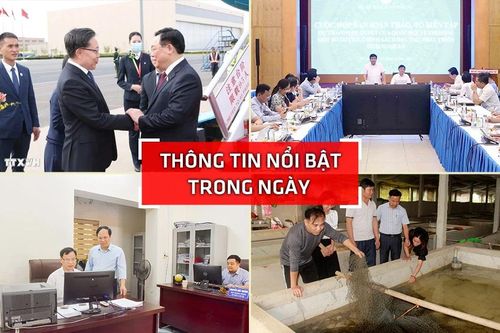 Nghệ An: Thông tin nổi bật ngày 7/4