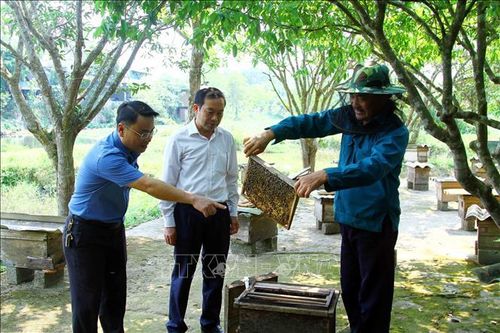 Xây dựng thương hiệu cho sản phẩm mật ong
