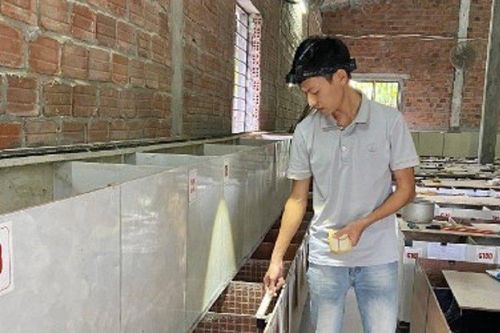 Anh nông dân đút túi 150 triệu/năm nhờ nuôi con đặc sản 'ưa mát'