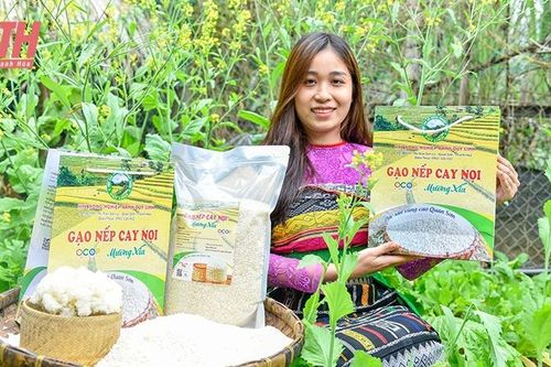 Chương trình Mục tiêu quốc gia phát triển kinh tế - xã hội vùng đồng bào DTTS&MN: Xây dựng các sản phẩm lợi thế ở các huyện vùng cao biên giới
