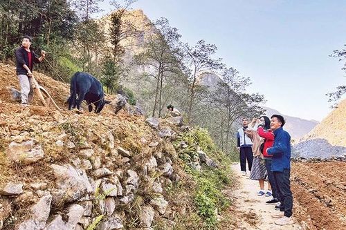 Ước mơ du lịch trên cao nguyên đá