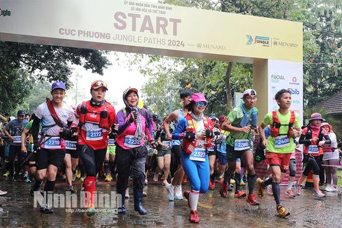 Tổ chức thành công Giải chạy 'Cúc Phương Jungle Paths năm 2024'