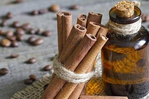 Doanh nghiệp xuất khẩu quế gặp khó