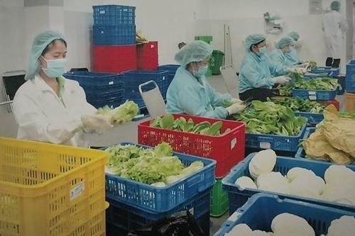 Kêu gọi đầu tư vào vùng nguyên liệu nông sản