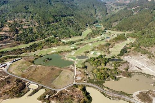 Làm rõ 37,5ha rừng biến mất khỏi dự án sân golf 1200