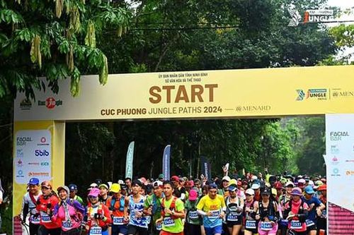 Gần 2.000 vận động viên tham gia giải chạy 'Cúc Phương Jungle Paths 2024'