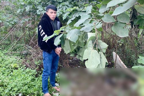 Đập gạch, cướp tài sản của người phụ nữ 'bán phấn buôn hương'