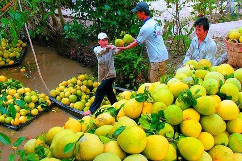 Để doanh nghiệp không 'ngại' đăng ký bảo hộ nhãn hiệu sản phẩm