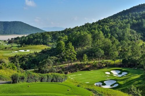 Biết gì về Acteam International phá rừng làm The Dàlat at 1200