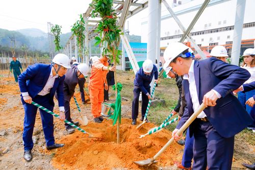 Bài 4: Chú trọng công tác trồng cây xanh, bảo vệ môi trường