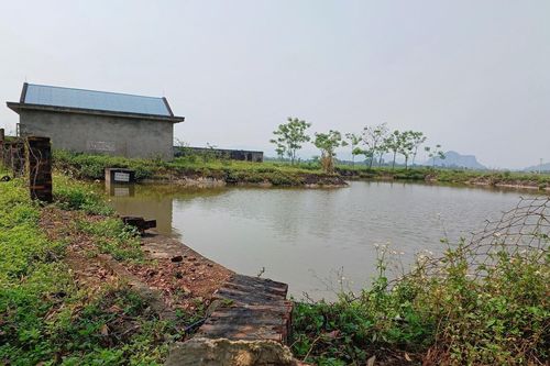Nghệ An: Nhà máy nước sạch 'đắp chiếu' hơn 10 năm