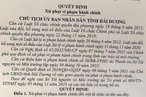 Vi phạm về môi trường, Công ty Very Vina bị phạt 240 triệu đồng