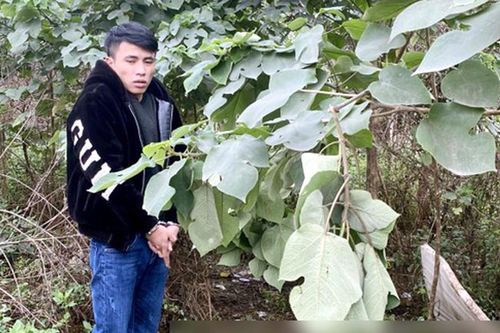 Vào bãi đất trống hành sự, gái bán dâm bị đập đầu, cướp tài sản