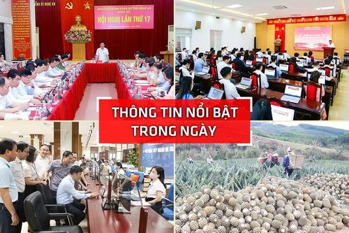 Nghệ An: Thông tin nổi bật ngày 8/4