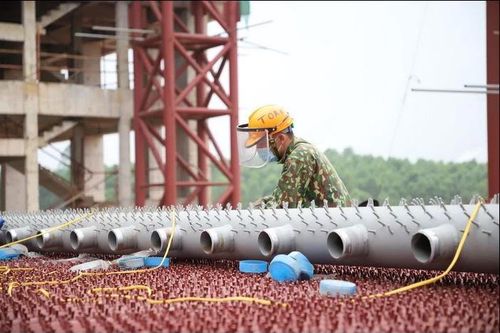 Tháo gỡ khó khăn cho Dự án nhà máy điện rác tại tỉnh Phú Thọ