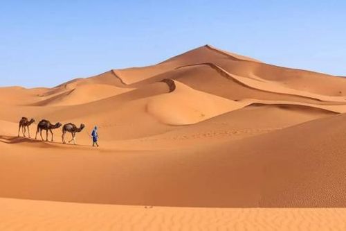 Sa mạc hình thành như thế nào và tại sao ban ngày lại nóng và ban đêm lại lạnh đến vậy?