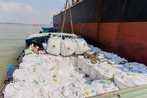 Quý 1/2024, tổng kim ngạch xuất-nhập khẩu An Giang đạt 351,6 triệu USD