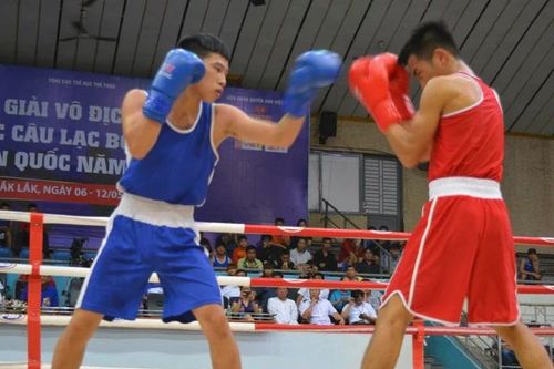 Giải vô địch boxing các đội mạnh quốc gia 2024: Gần 350 vận động viên tham dự
