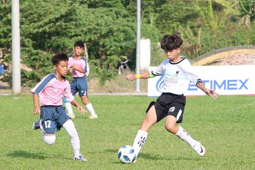 Các liên đoàn thể thao tổ chức 9 giải thể thao cấp tỉnh