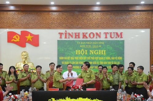 Hợp sức giữ rừng giáp ranh