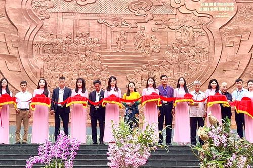 Khai mạc trưng bày hoa lan nghệ thuật toàn quốc tại Phú Thọ