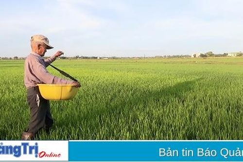 Giải pháp tích tụ ruộng đất, hình thành vùng sản xuất ở Triệu Phong