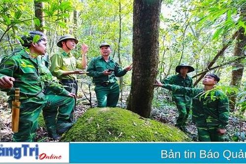 Hướng Hóa chú trọng kiểm tra, bảo vệ, phát triển rừng