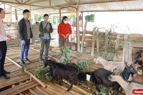 Giúp nông dân vùng khó khăn phát triển kinh tế