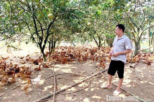 Xây dựng 3 vùng dịch bệnh an toàn