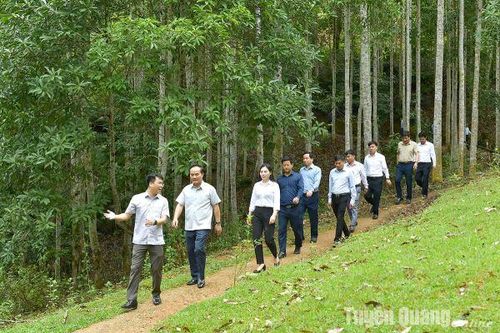 Na Hang cần tập trung phát triển du lịch sinh thái, cộng đồng, lễ hội mang bản sắc riêng