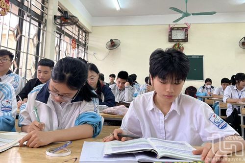 Trên 3.500 em đạt giải học sinh giỏi cấp tỉnh lớp 9, 10, 11