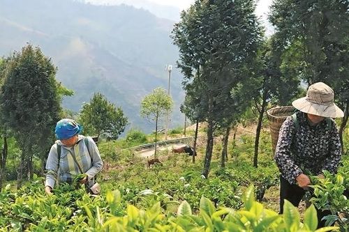 Bài 1: Hàng nghìn hộ dân được hưởng lợi