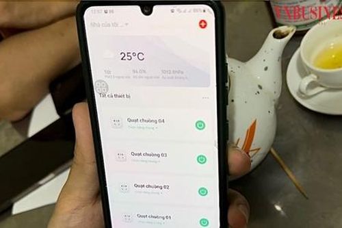 HTX chăn nuôi lợn khép kín, 'bắt nhịp' chuyển đổi số