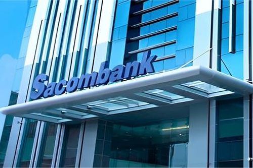 Cổ phiếu nào áp đảo cả về số lượng và tỷ trọng trong danh mục của Pyn Elite Fund?