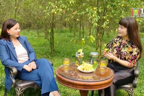 Trà hoa vàng An Xanh | Mỗi xã một sản phẩm | 08/04/2024