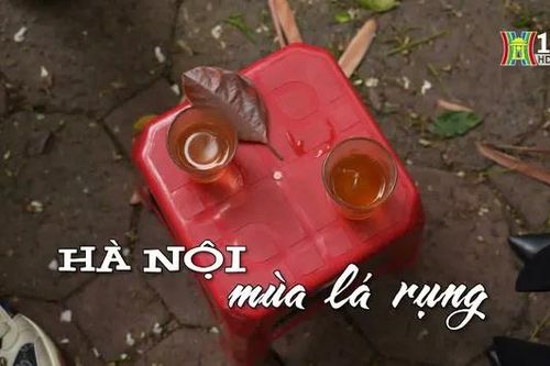 Hà Nội mùa lá rụng | Nhịp sống Hà Nội|08/04/2024