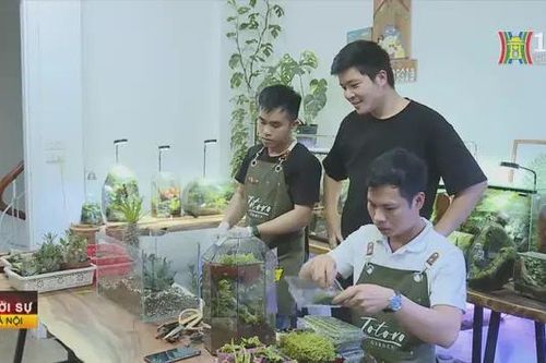 Nghệ thuật thiết kế tiểu cảnh Terrarium