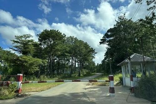 Lâm Đồng: Xử lý nghiêm vụ để mất rừng tại dự án sân golf lớn nhất vùng