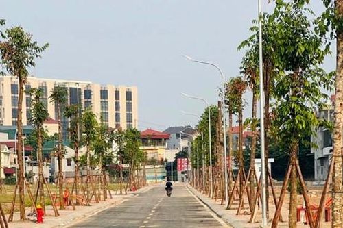 Đấu giá đất ngoại thành Hà Nội: Sôi động nhưng không có đột biến